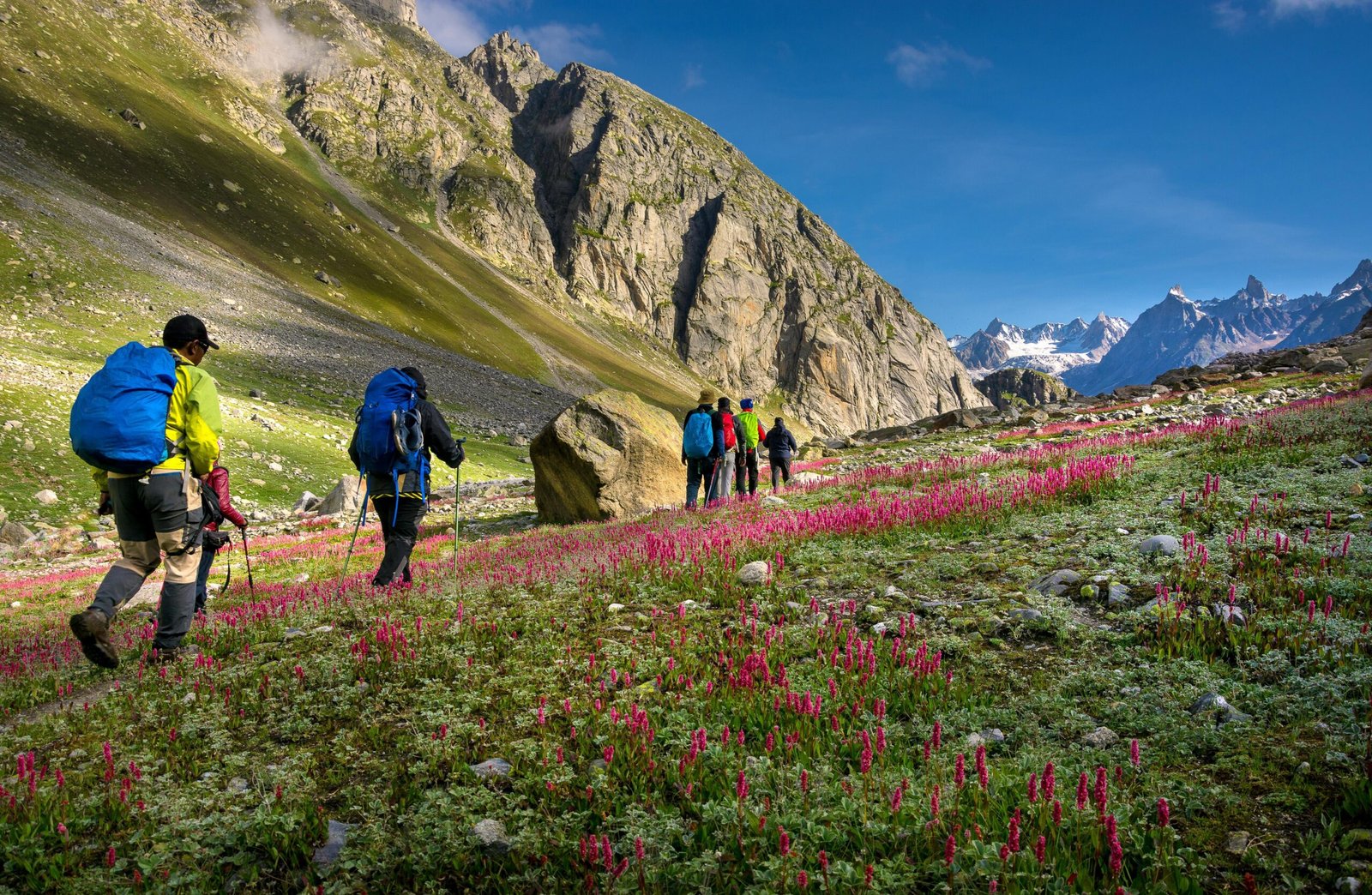 stunning panoramic views of the high Deo Tibba and Indrasan mountains.