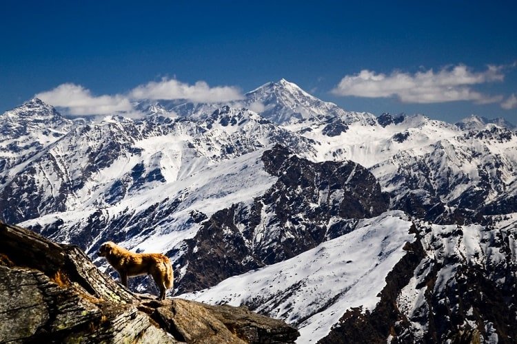 Why Kedarkantha Trek is Perfect for Snow Lovers