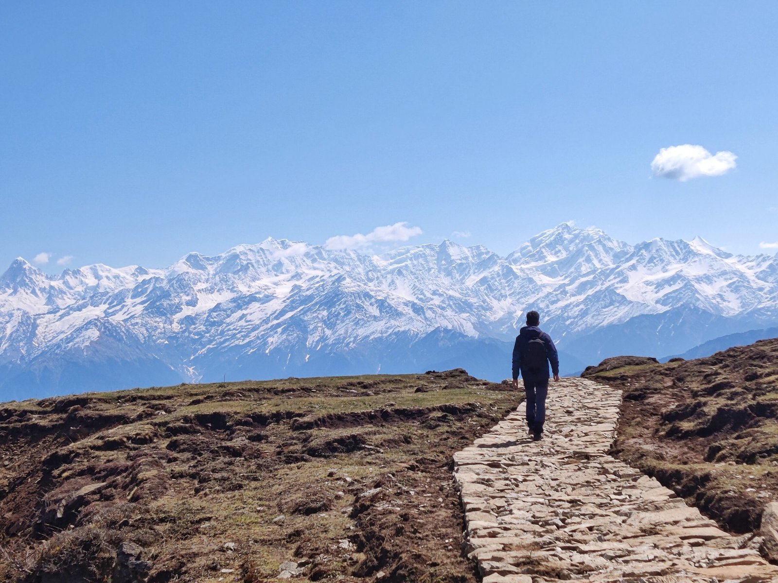 Trekkers in the Himalayas