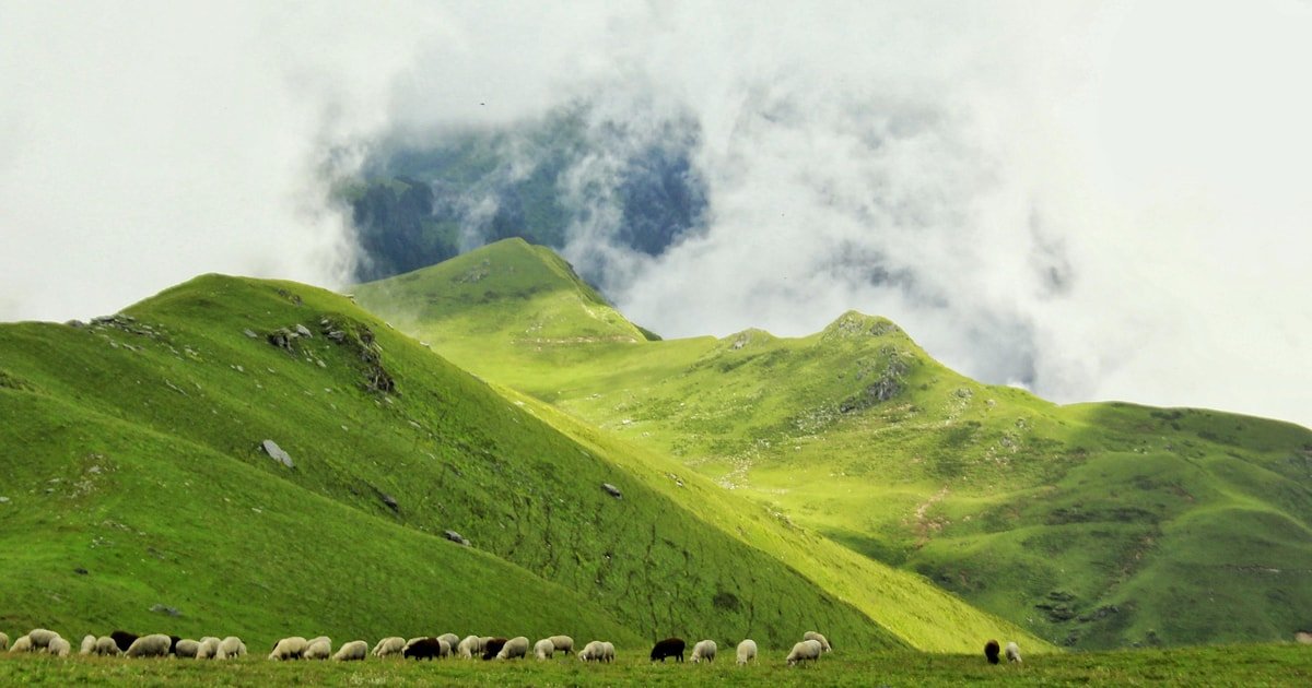 Dayara Bugyal alpine meadow and Himalayan mountains