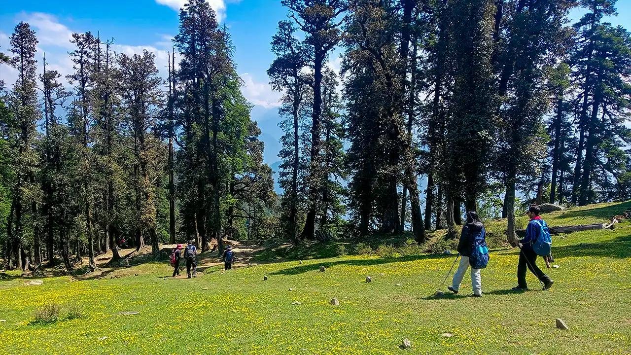 Kedarkantha Trek in Summer