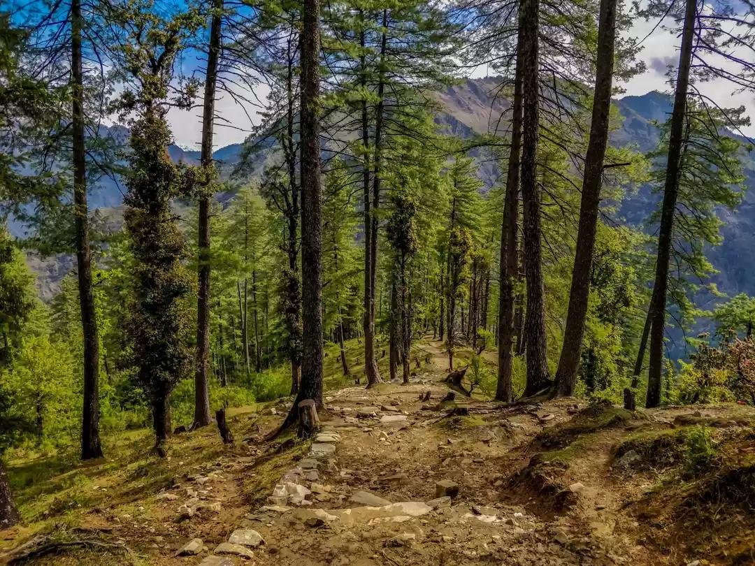 Kuari Pass Trek in Summer
