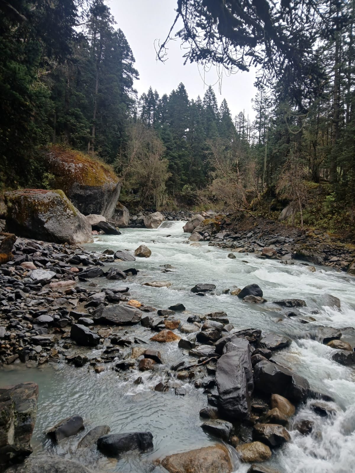 tons rever flowing from har-ki-dun glacier
