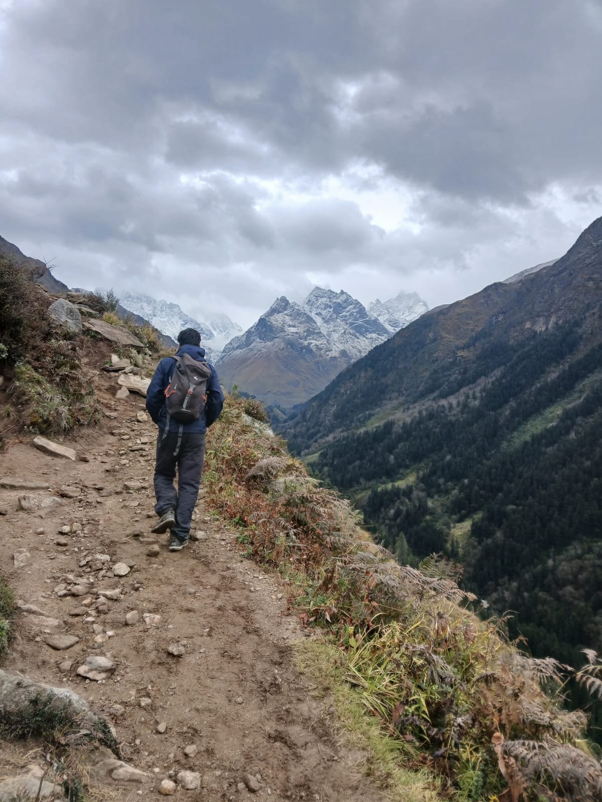 Trekkers on the trail near har-ki-dun, Govind Wildlife Sanctuary