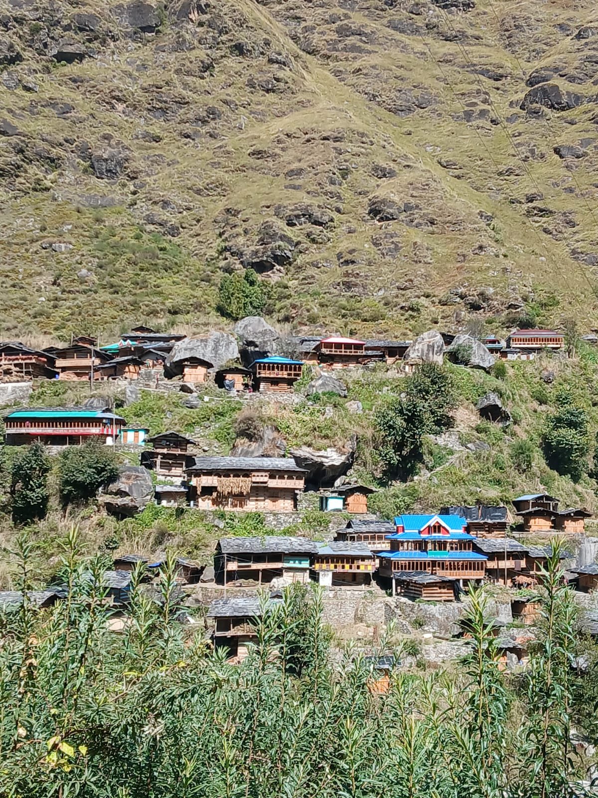 gangar village in the har-ki-dun valley of govind wildlife